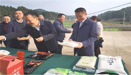 市委常委、政法委書記劉波濤帶隊調研指導定點幫扶村鄉(xiāng)村振興工作